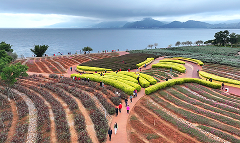 湖光秋色醉游人